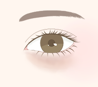 茶クマ